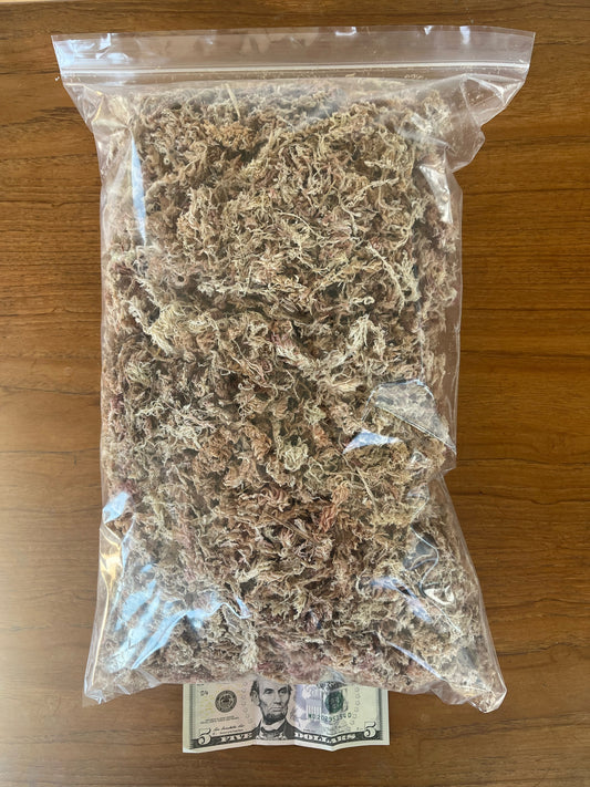 Dry Sphagnum Moss 120 Grams